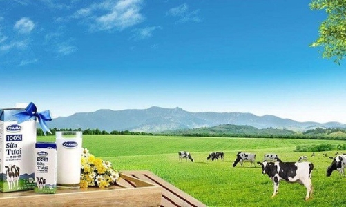 Giá đầu vào tăng mạnh, Vinamilk báo lãi giảm 6,5%