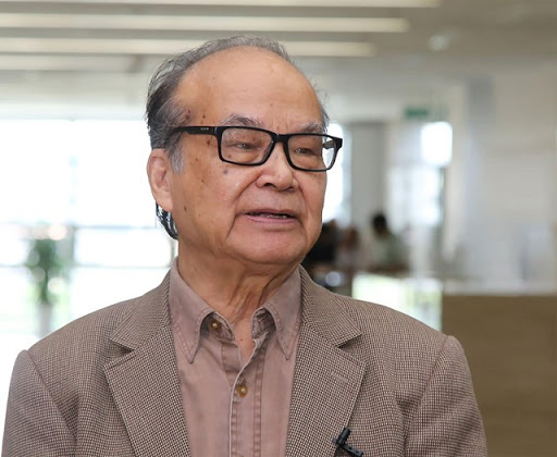 GS.VS.TSKH Trần Đ&igrave;nh Long, Ph&oacute; Chủ tịch Hội Điện lực Việt Nam