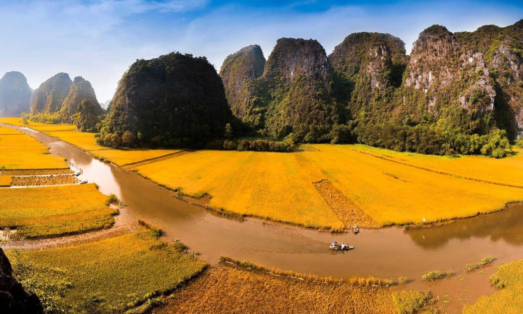 Mùa vàng tại Tam Cốc - Bích Động. Ảnh: Asiaway Travel