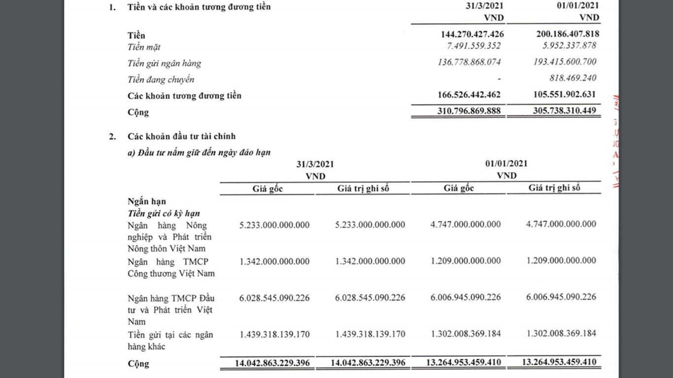 BCTC qu&yacute; 1/2021 của VEAM.