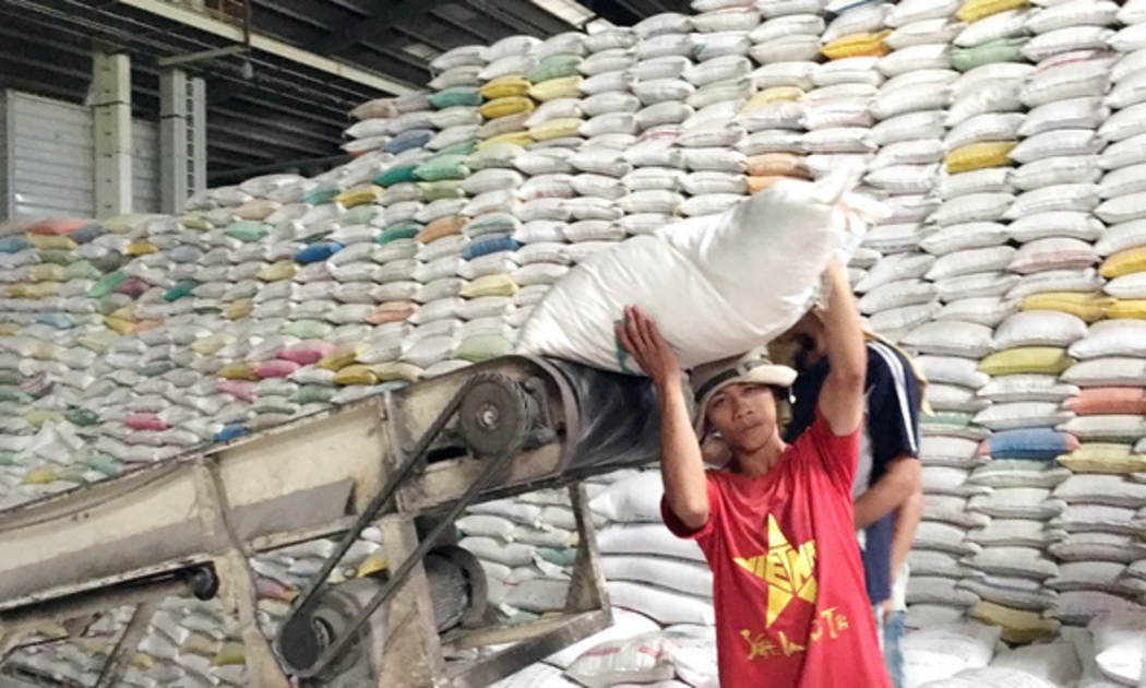 Gạo xuất khẩu của Việt Nam đang tiếp tục chuyển dịch sang các loại có chất lượng cao hơn