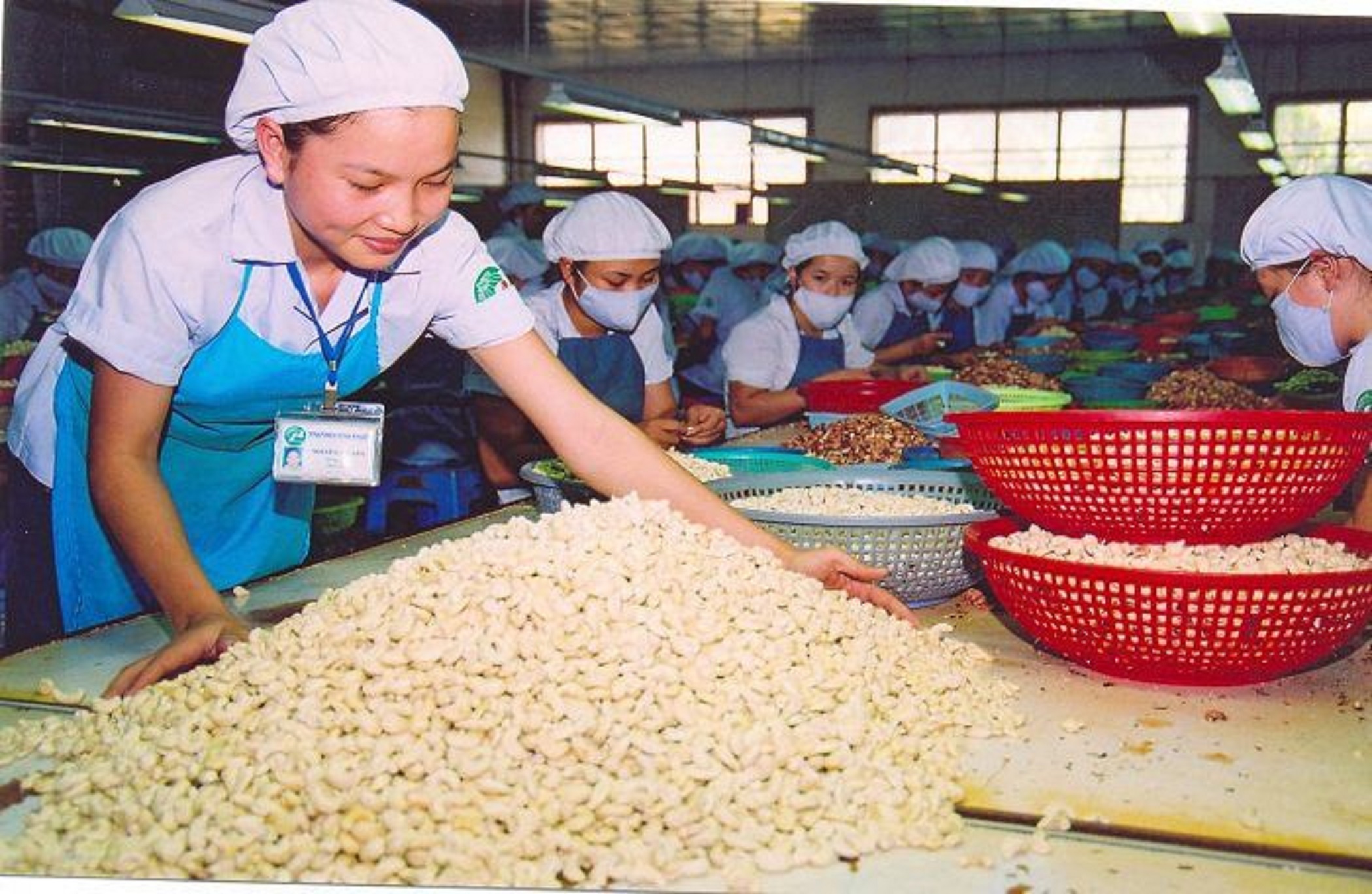 Nhập khẩu điều thô nguyên liệu tăng gấp hơn 3 lần.