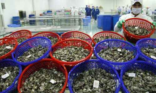 Đợt dịch Covid – 19 mới đe doạ thuỷ sản xuất khẩu của Việt Nam 