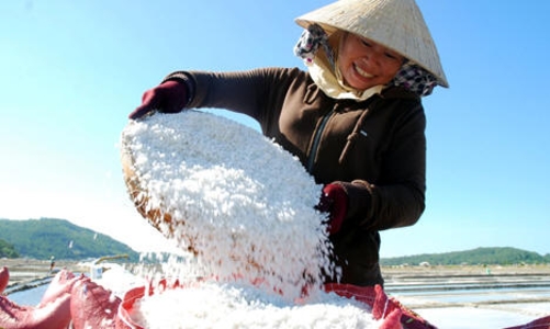 Một doanh nghiệp buôn muối sắp lên sàn, giá tham chiếu 23.500 đồng/cổ phiếu