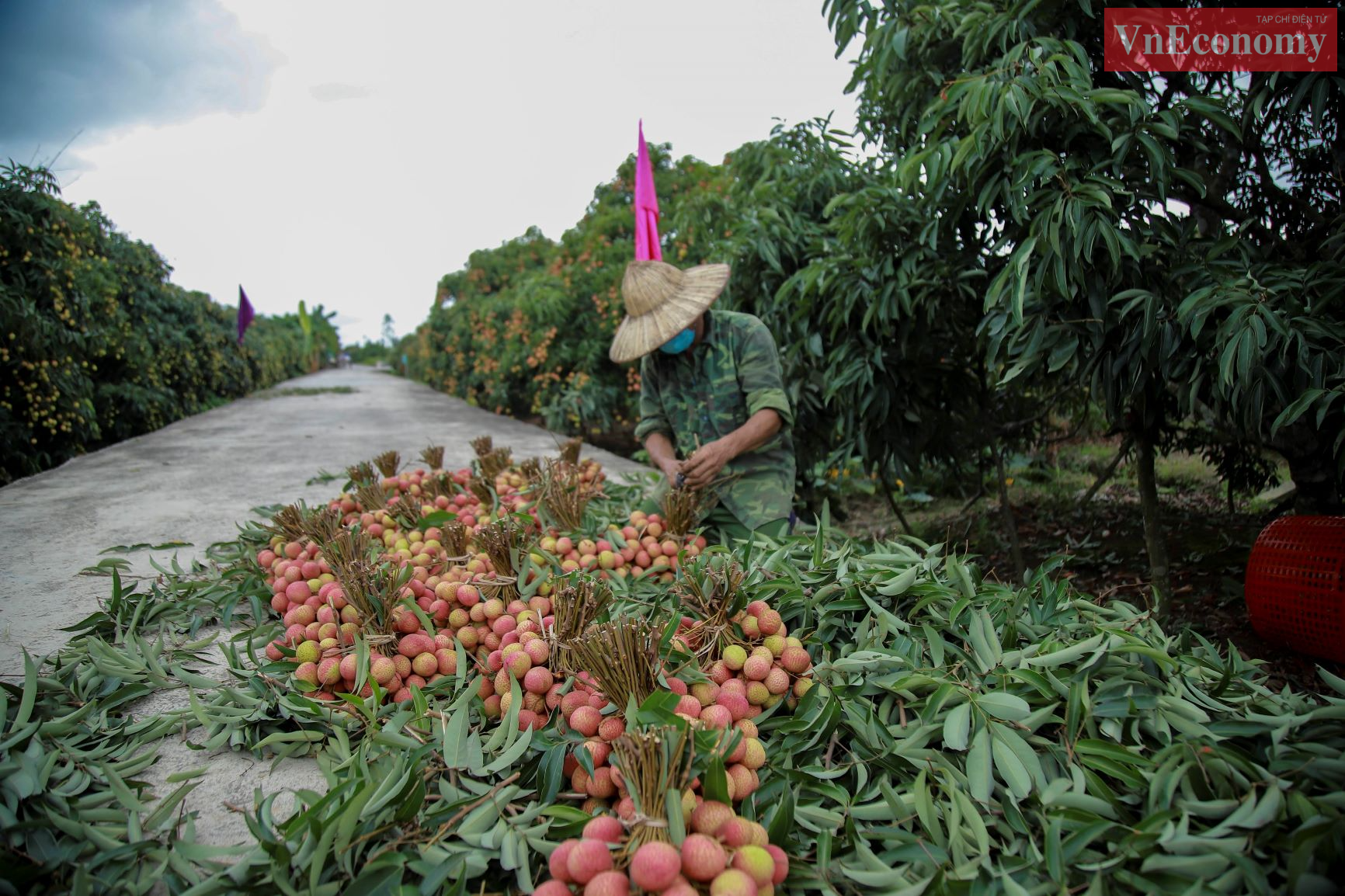 Ảnh: Phương Thảo