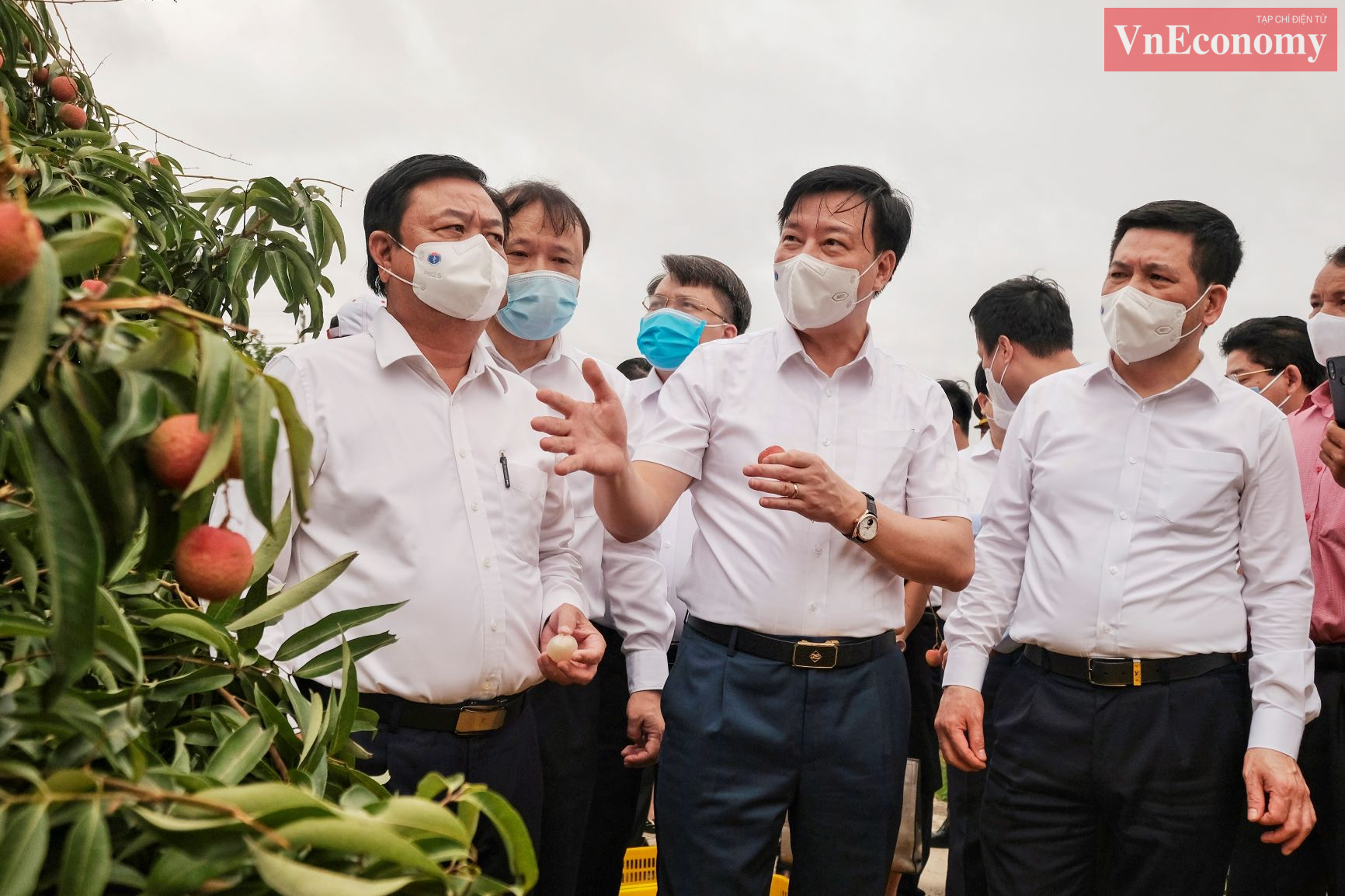 Đồng ch&iacute; B&iacute; thư Tỉnh ủy Phạm Xu&acirc;n Thăng đ&atilde; giới thiệu với l&atilde;nh đạo c&aacute;c bộ, ng&agrave;nh về quả vải thiều sớm ở khu H&agrave; Đ&ocirc;ng. Đ&acirc;y l&agrave; loại quả mang lại gi&aacute; trị kinh tế cao cho người d&acirc;n Thanh H&agrave;.