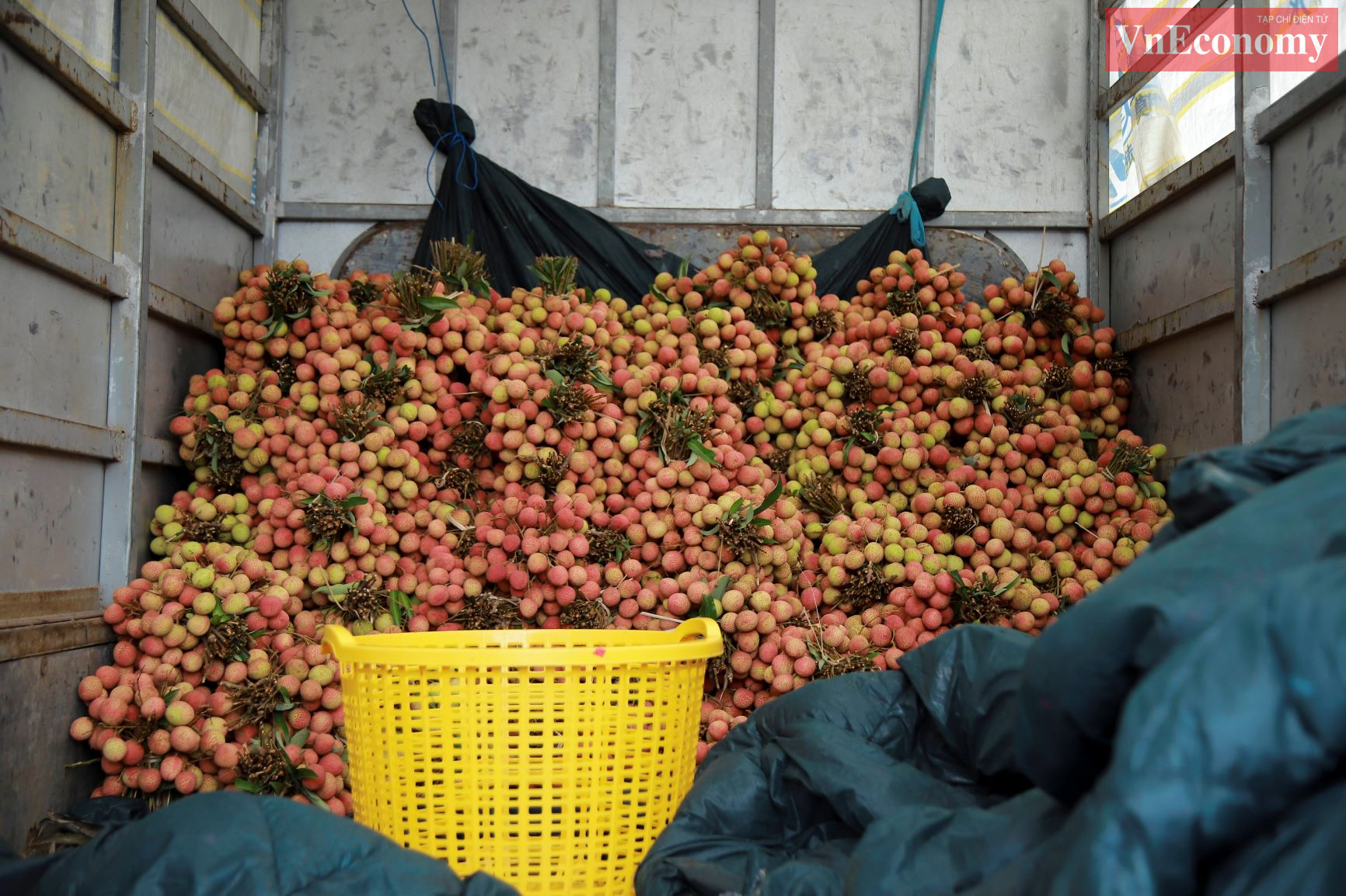 Trung t&acirc;m Y tế huyện bố tr&iacute; điểm s&aacute;t khuẩn, đo th&acirc;n nhiệt; bố tr&iacute; 3 xe container tại th&ocirc;n Lại X&aacute;, x&atilde; Thanh Thủy để tổ chức cắt băng xuất khẩu vải.