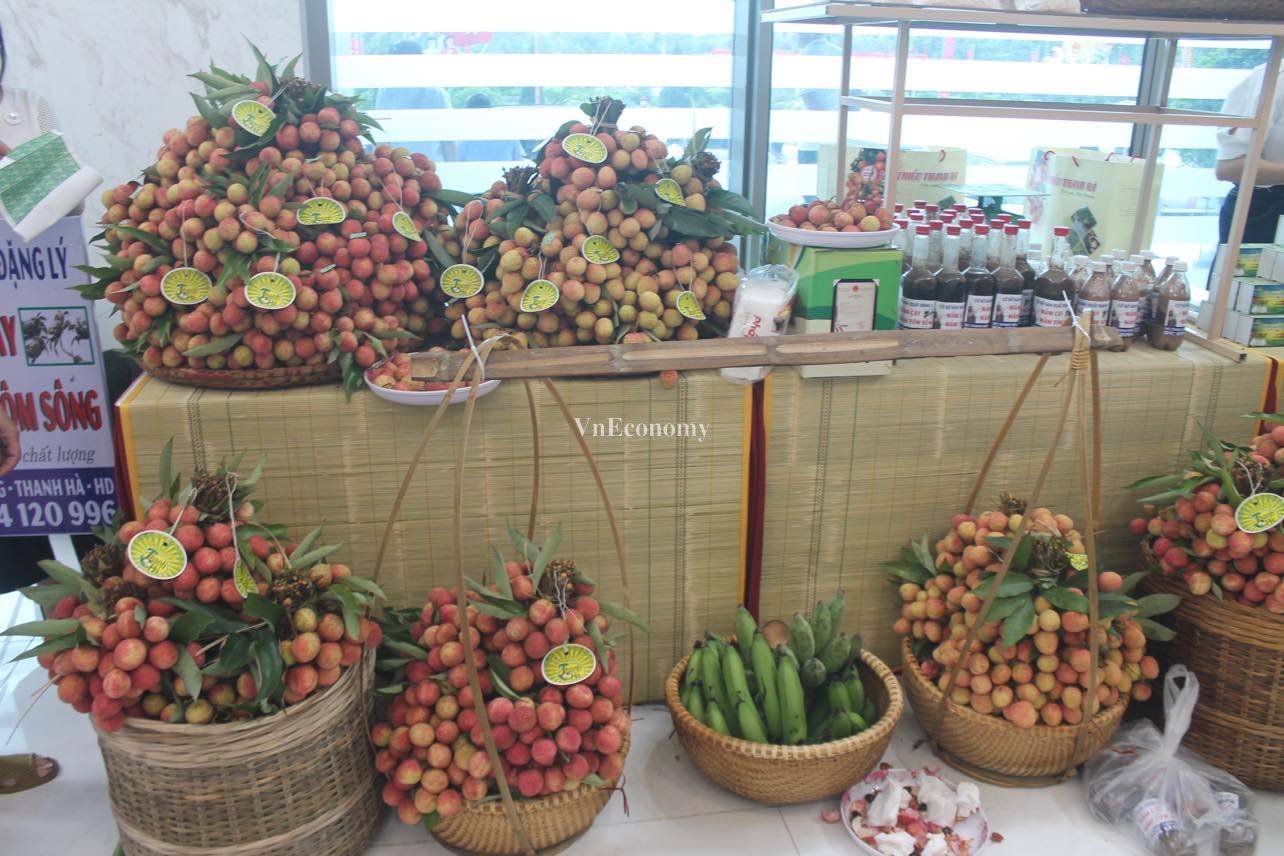 Hội nghị diễn ra tại hội trường Trung tâm Văn hoá Xứ Đông (Tp.Hải Dương).
