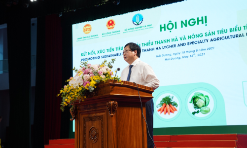 Hải Dương quyết tâm đưa vải thiều ra thế giới giữa bão Covid