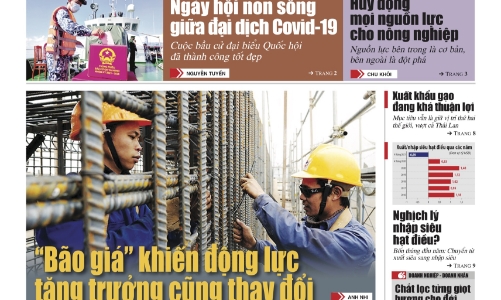 Tạp chí Kinh tế Việt Nam số 41