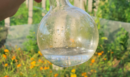 Founder Nguyễn Quang Huy, chủ nhân của những khu vườn chữa lành bằng liệu pháp mùi hương