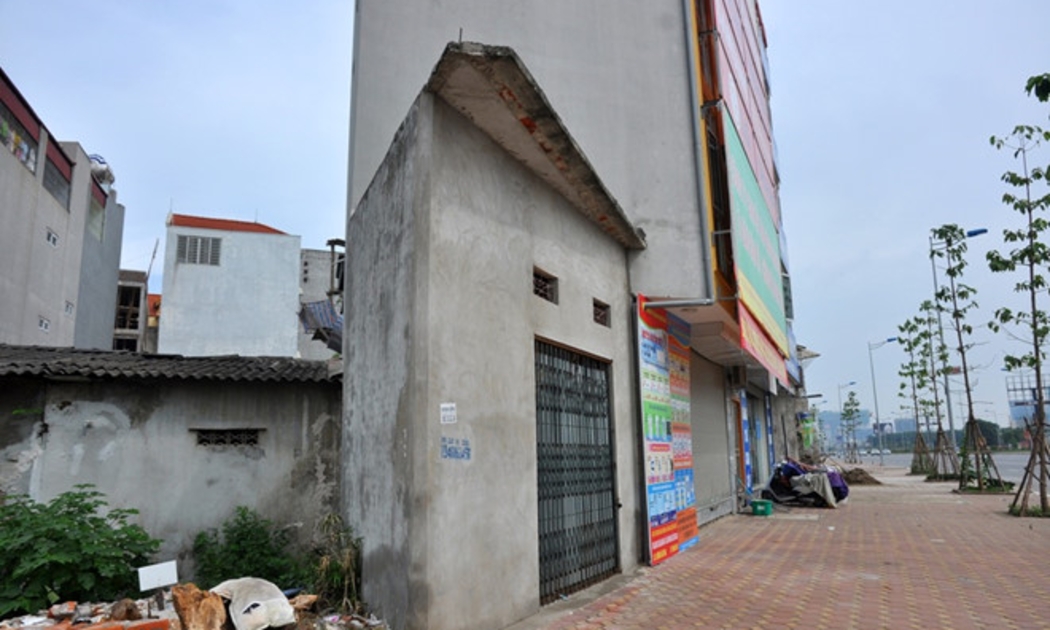 Ảnh minh họa