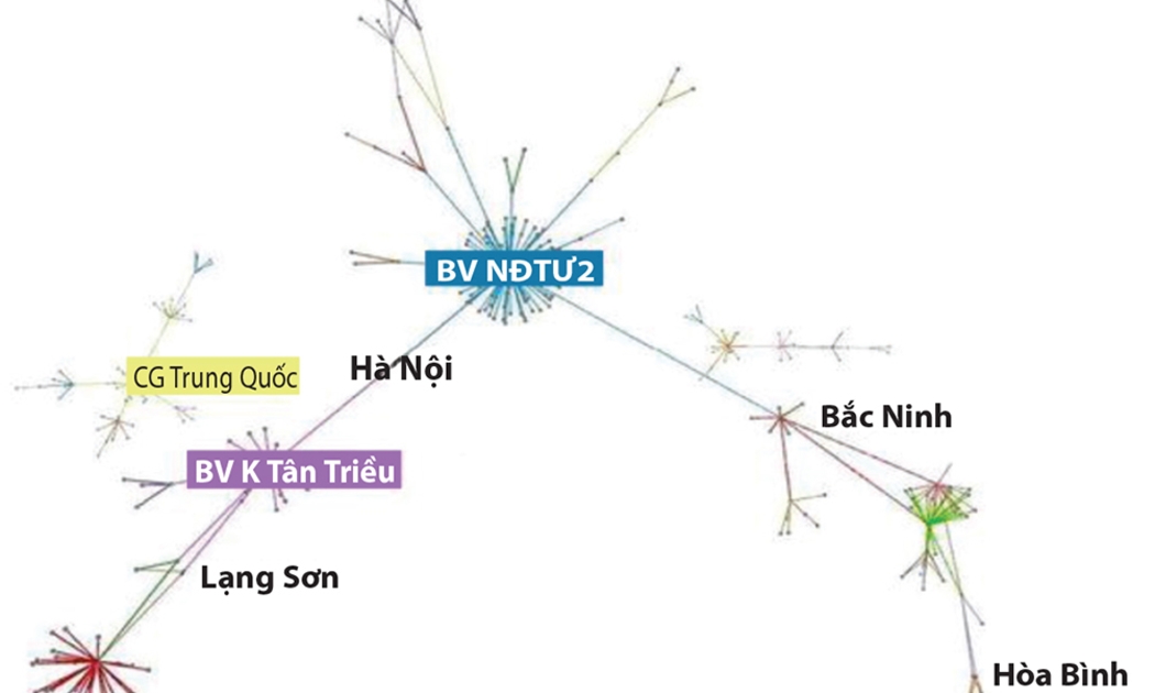 Mô hình dự báo này đã được kiểm chứng qua hai đợt bùng phát dịch lần 2 (tại Đà Nẵng) và lần 3 (Hải Dương).