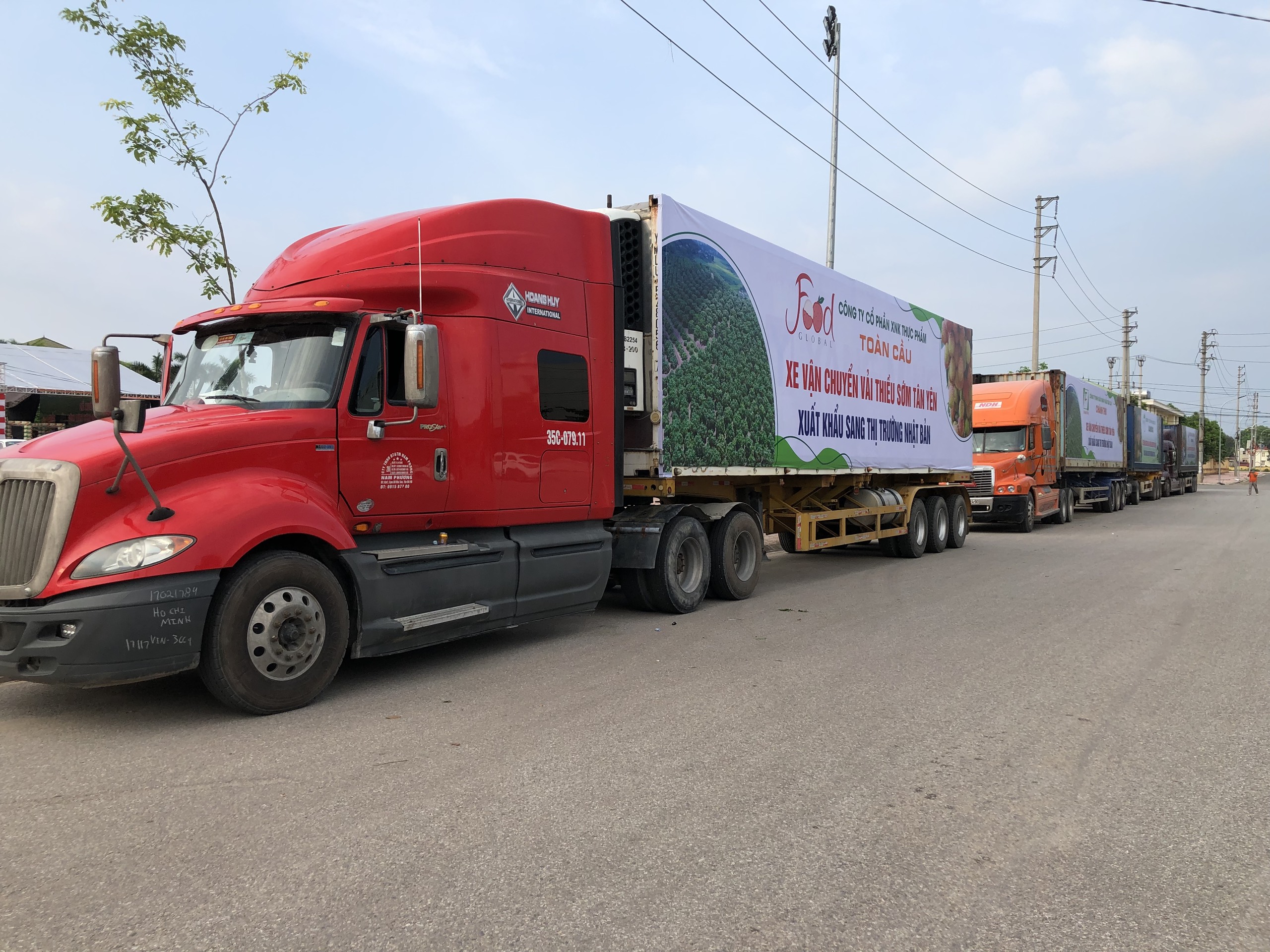 Những chuyến xe đưa vải thiều sớm T&acirc;n Y&ecirc;n sang Nhật Bản.&nbsp;