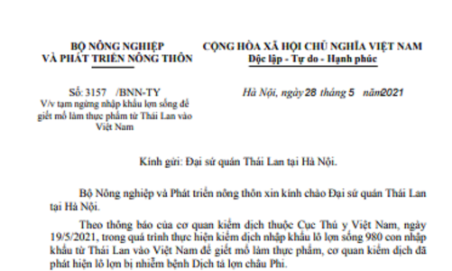 Tạm ngừng nhập khẩu lợn thịt từ Thái Lan 