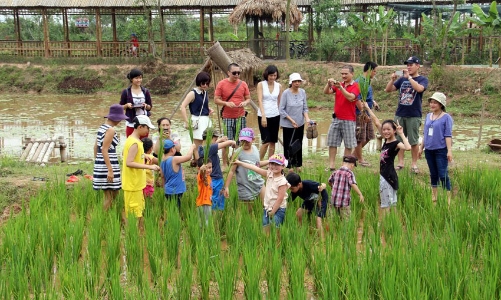 Du lịch nông thôn đang được phát triển theo hướng nào?