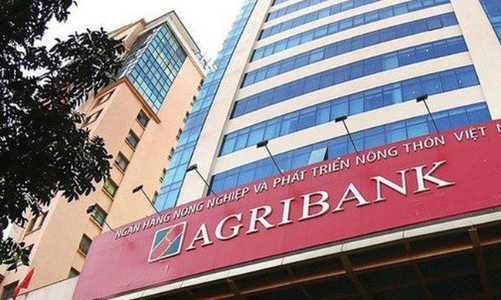 Sau 14 năm, Agribank vẫn… rục rịch cổ phần hoá