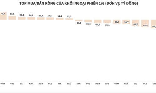 Chỉ giao dịch phiên sáng, khối ngoại vẫn kịp xả ròng 549 tỷ đồng HPG