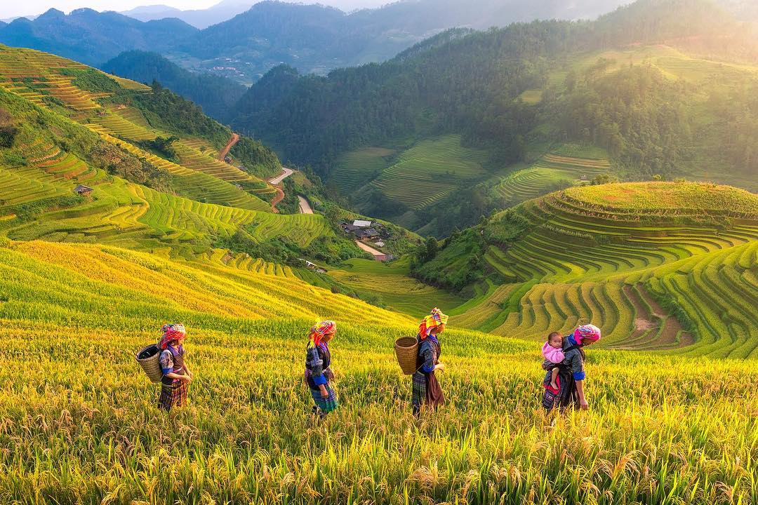 Dịch vụ du lịch có bước tăng trưởng mạnh, trở thành ngành kinh tế chủ lực của tỉnh. 