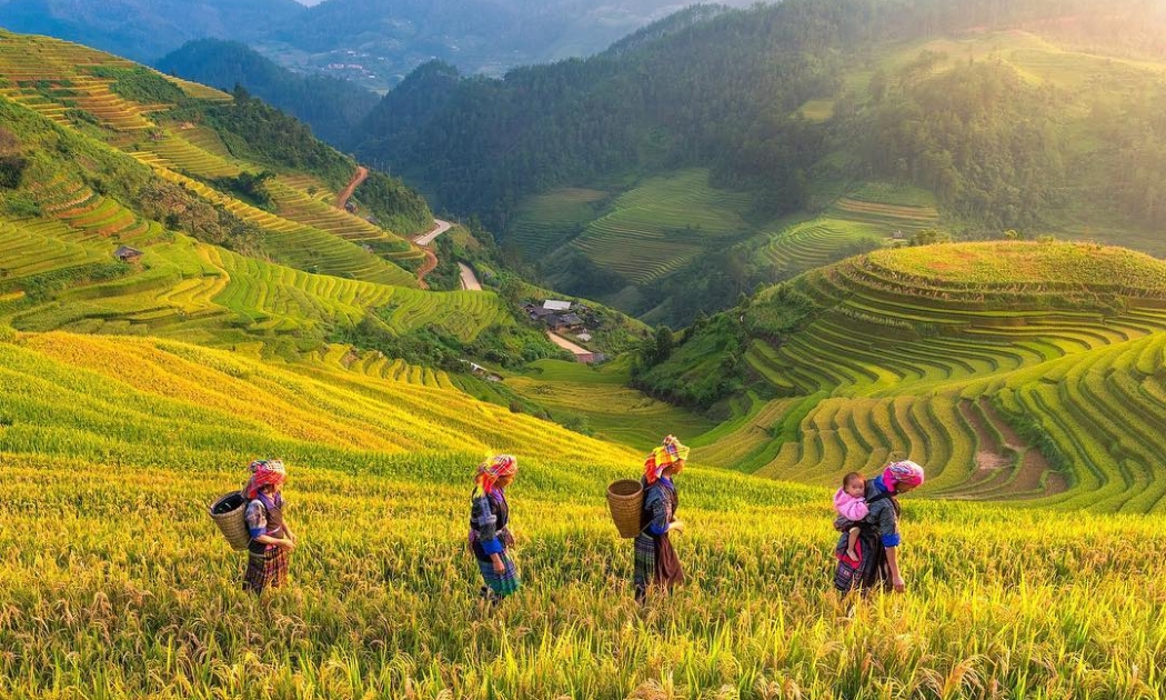 Dịch vụ du lịch có bước tăng trưởng mạnh, trở thành ngành kinh tế chủ lực của tỉnh.