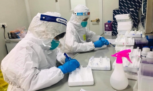 Lên phương án xử lý ổ dịch tại thành phố Bắc Ninh