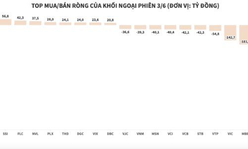 Mặc thị trường hưng phấn, khối ngoại vẫn bán ròng nghìn tỷ