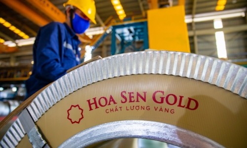 Hoa Sen chốt quyền nhận cổ tức 10% vào ngày 16/6