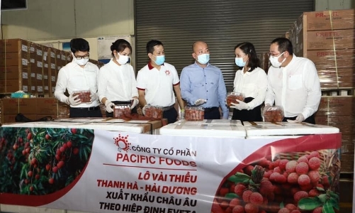 Lô vải thiều Thanh Hà đầu tiên “bay” sang châu Âu