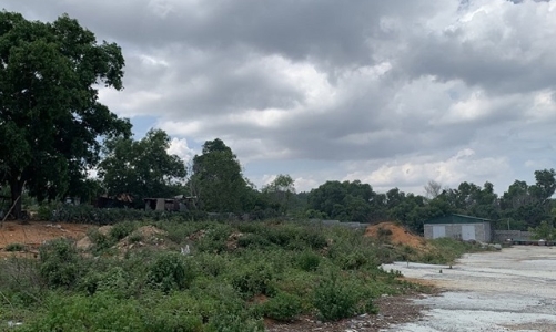 Bình Thuận: Thu hồi hàng loạt dự án chậm triển khai