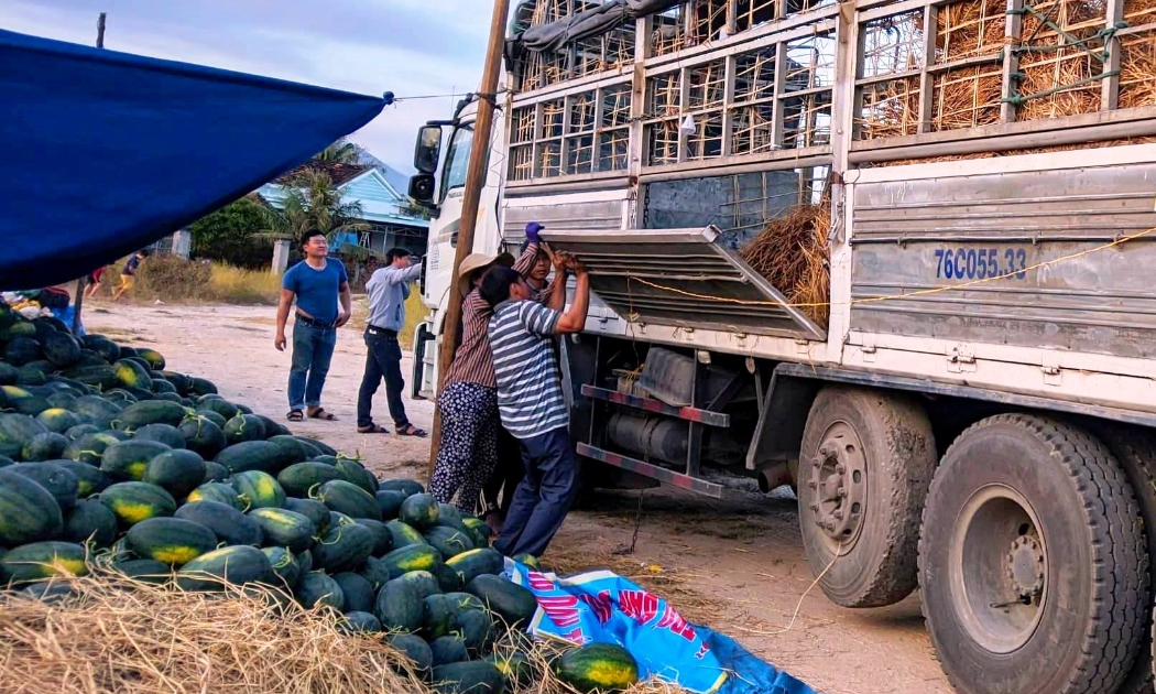 Nhiều loại nông sản đang cần tiêu thụ