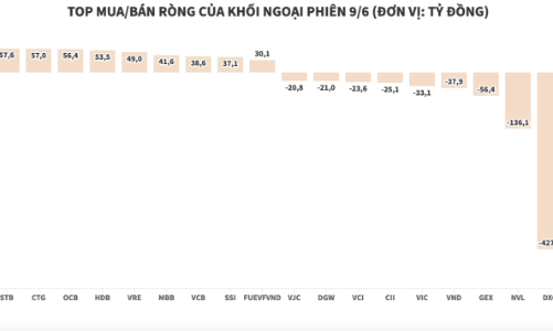 Khối ngoại tăng bán ròng trong phiên thị trường hồi phục