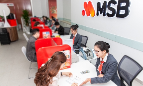 MSB dự kiến phát hành 18 triệu cổ phiếu ESOP