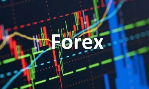 Lật tẩy thủ đoạn lừa đảo của các sàn Forex