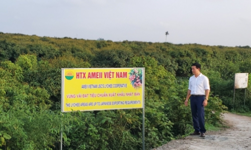 Xuất khẩu nông sản: Trái ngọt dành cho người có tâm