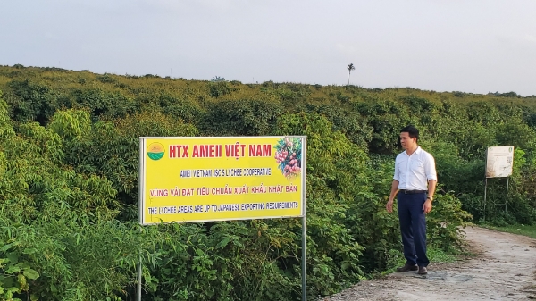 Xuất khẩu nông sản: Trái ngọt dành cho người có tâm