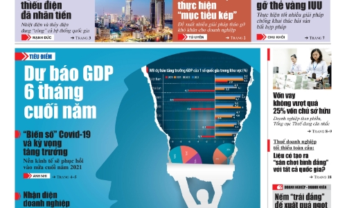 Tạp chí Kinh tế Việt Nam số 46