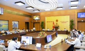 Báo cáo kết quả bầu cử: Nhiều 