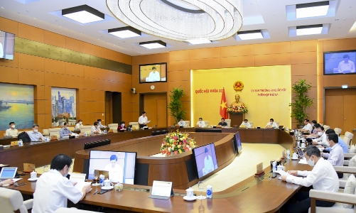 Báo cáo kết quả bầu cử: Nhiều 