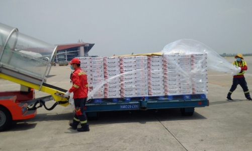 Vietjet & Swift247 vận chuyển vải thiều tới thị trường trong nước và quốc tế