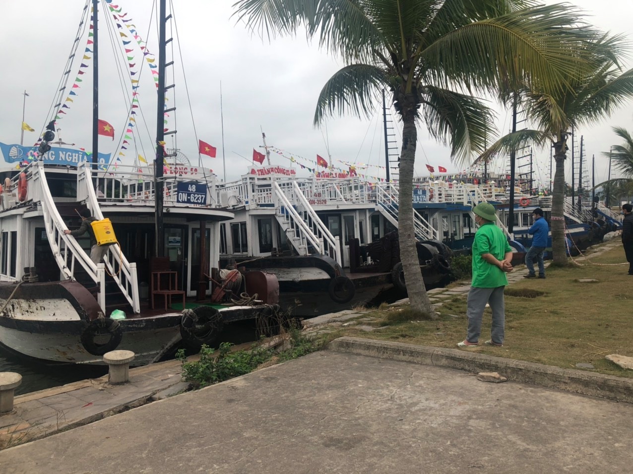 Phần lớn tàu du lịch trên vịnh Hạ Long phải nằm bờ vì đói khách, ảnh hưởng đến thu nhập của hàng nghìn người lao động.
