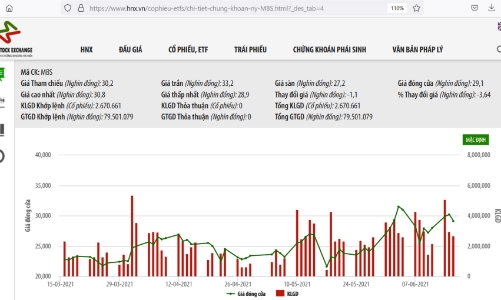 Tổng giám đốc MBS đăng ký bán toàn bộ 1 triệu cổ phiếu MBS đang sở hữu