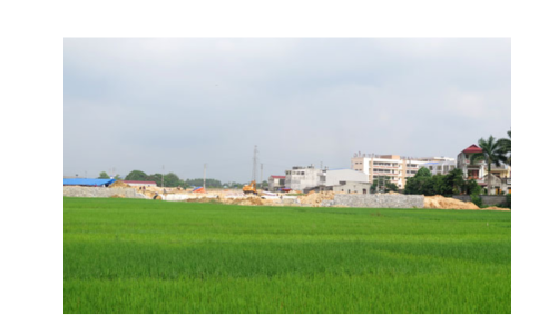 Báo cáo chuyển đổi đất trồng lúa, đất rừng phòng hộ làm dự án trước 15/7/2021