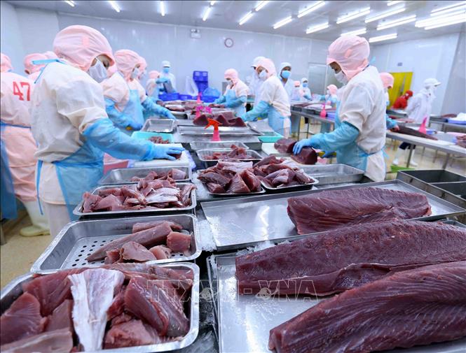 TS4 được thành lập vào năm 1980 và chính thức hoạt động theo hình thức cổ phần hoá năm 2001 với hơn 30 năm hoạt động kinh doanh và chế biến hàng thuỷ hải sản đông lạnh. 
