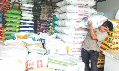 Giá phân bón đang vào chu kỳ tăng mạnh, 10 năm một vòng 