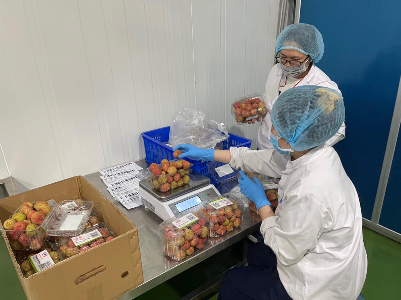 Vải thiều Việt Nam ng&agrave;y c&agrave;ng được người ti&ecirc;u d&ugrave;ng Nhật Bản ưa th&iacute;ch.