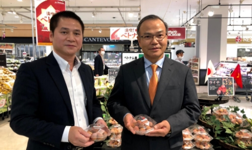 Vải thiều Việt Nam được doanh nghiệp Nhật Bản 