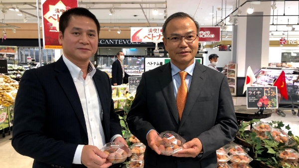 Vải thiều Việt Nam được doanh nghiệp Nhật Bản 