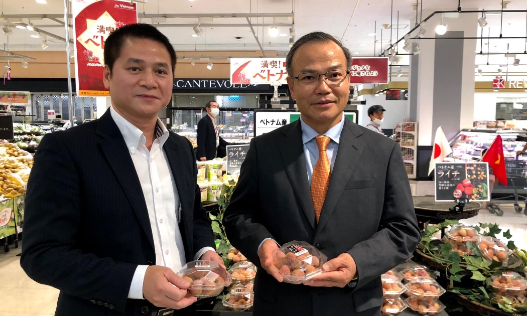 Đại sứ Vũ Hồng Nam (phải) và Tham tán Thương mại Việt Nam tại Nhật Bản Tạ Đức Minh (trái) trong sự kiện quảng bá trái vải Việt Nam tại Nhật Bản