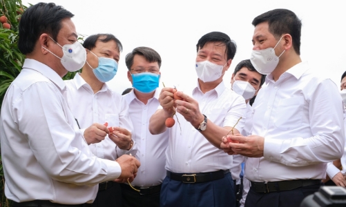 Tiêu thụ nông sản mùa Covid: Hiệu quả từ những quyết sách kịp thời