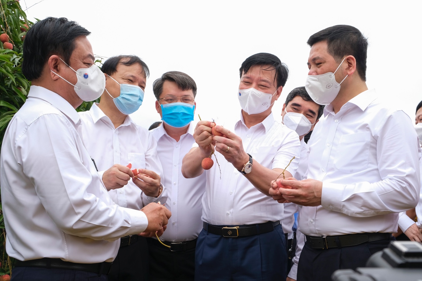 Lãnh đạo tỉnh Hải Dương, Bộ Công Thương, Bộ Nông nghiệp và Phát triển nông thôn thăm vườn vải thiều xuất khẩu tại thôn Thanh Lanh, xã Thanh Quang, huyện Thanh Hà, tỉnh Hải Dương.